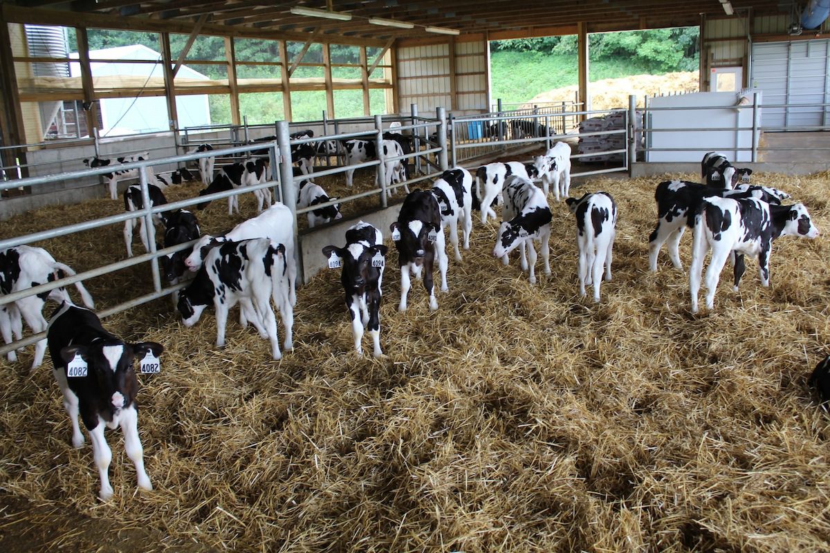 Ohio ag director highlights state's dairy industry - Farm and Dairy