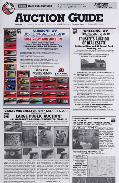 Auction Guide - More info