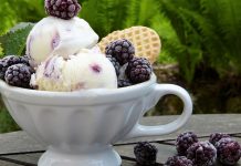 Easy Blackberry Ice Cream