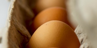 brown eggs