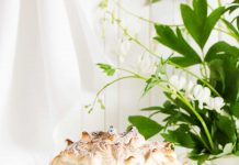 Meringue Ice Cream Torte