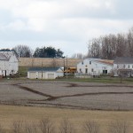 To love and to cherish, even in manure