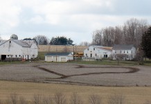 To love and to cherish, even in manure