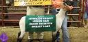 ODA launches investigation into resale of Jefferson Co. grand champion lamb