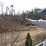 5661501678_d1fca21ce4