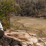 5661514074_7362a53e08