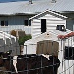 5884087769_8d4115cb5f