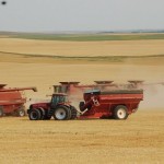 schiltz combine.smaller