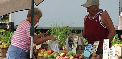 farmers market