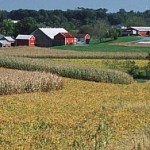 6243922870_ede99e3a60