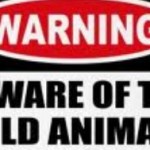 6261111678_eb77323b0b_o(1)