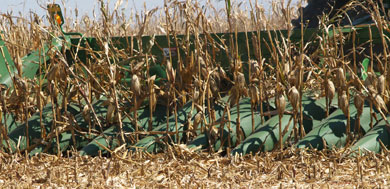 Don’t expect yields to stay the same in continuous corn rotations