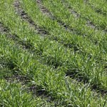 7044947315_fbb30aae08_o