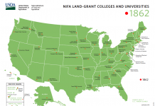 Restoring confidence in education