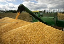 U.S. grain markets progress higher, retracing recent losses