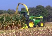 Michigan, Ohio study corn silage hybrids corn silage
