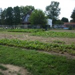 Iron Roots urban farm