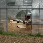 Iron roots hoop house