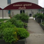 Goodness grows urban farm