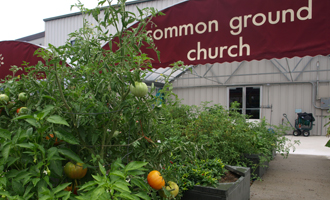 Goodness grows Youngstown urban farming