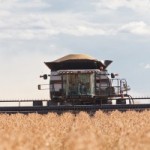 Harvesting during drought