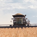 harvesting drought crops.gleaner