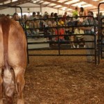 rate of gain candid.large.JPG