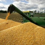 Grain markets: Farmers bullish, but traders’ thrill is gone