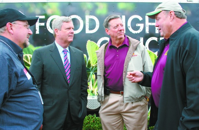 growing the cure cancer fighting foods