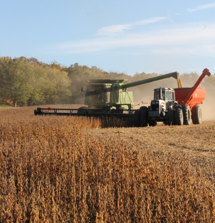 soybean harvest