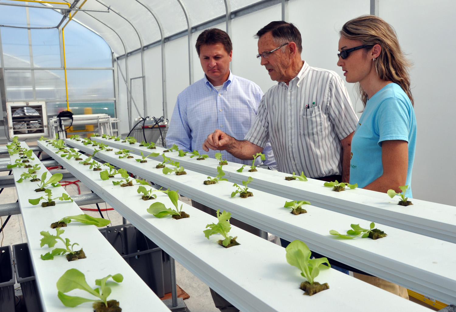 OSU trials show new bio-fertilizer can increase hydroponic vegetable growth hydroponics