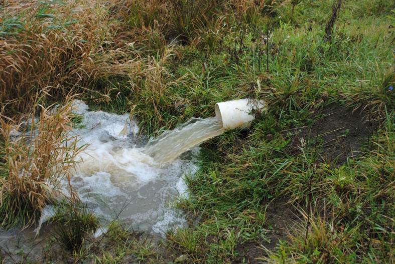 Expert revising Ohio’s phosphorus index to improve water quality