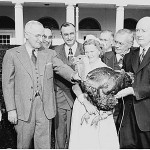 Harry Truman receiving a turkey