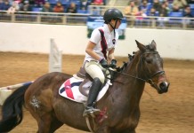 Pennsylvania’s 97th Farm Show offers new attractions and returning favorites horse jumper