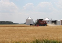 U.S. farmland values continue to rise, Ohio up 13.6 percent
