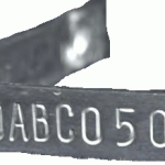 Moving livestock from state to state? Here’s what you need to know about animal identification