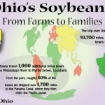Ohio-Soybeans