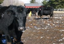 Get ready for mud mud