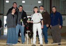 Top lot brings $36,000 bid; Ohio Holstein sale averages $3,500 Holstein sale photo