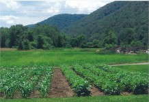 New ag advisory board established