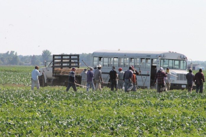 immigrants immigrants in a field with a bus
