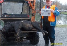 Vacation with Us: Denwell John Dewell, of Scio, Ohio, went wild hog hunting in the mountains of Tennessee. He got a nice boar and Farm and Dairy was there to record the kill! He shot it with a 1895 Marlin 45-70. Dewell is hoping to go bear hunting out West next year.