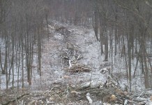 Licking County landowner fights pipeline and appears to have won