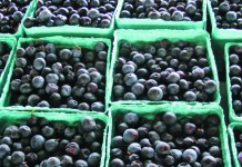 Project focuses on improving food pantries in rural food deserts photo of blueberries