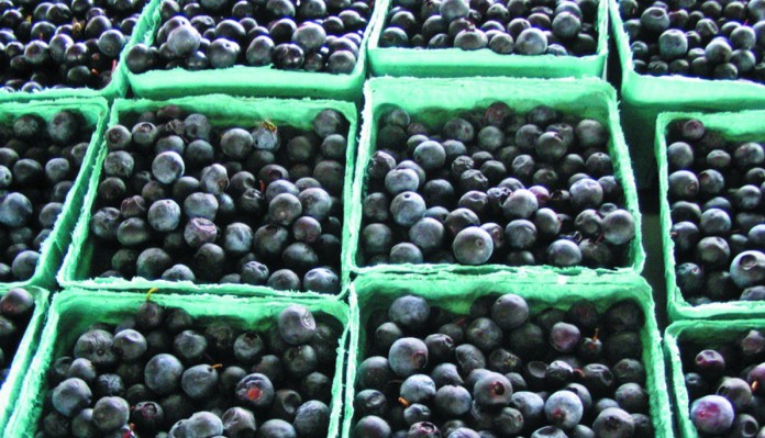 blueberries at farmers market photo of blueberries