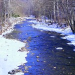 Streams stressed by pharmaceutical pollution photo of a winter stream