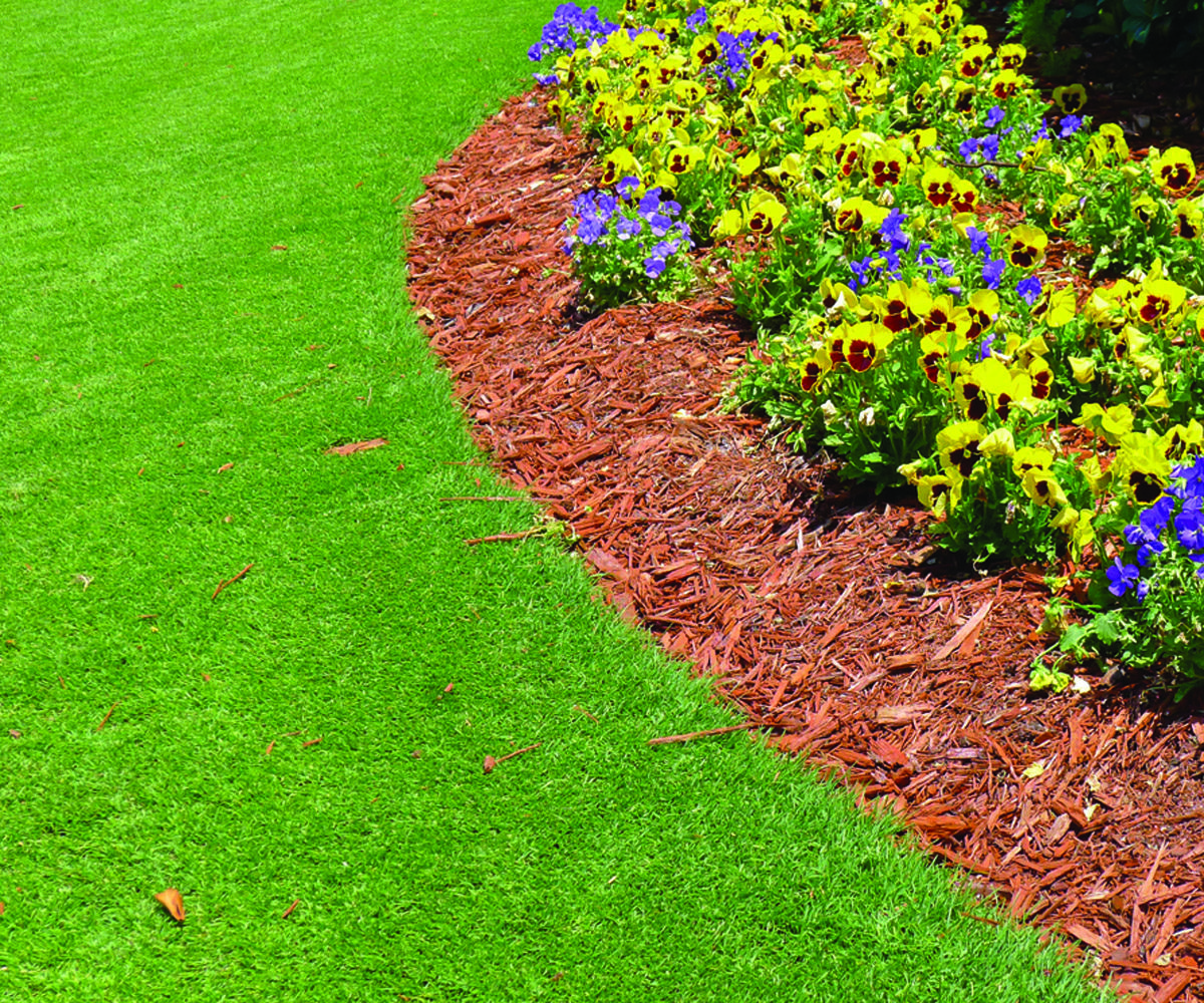 Your lawn can have a professional look with well-defined edges