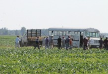 Effective employee management produce field workers