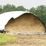 Benefits of using foliar fungicides for corn silage forage bag