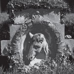 5_30 southern boardman 1